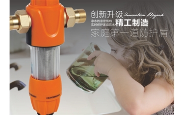前置过滤器